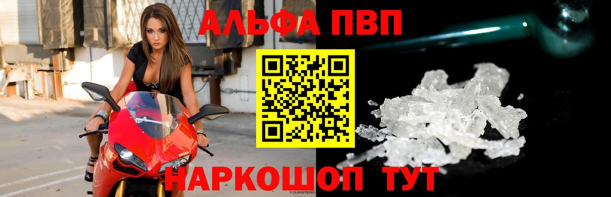 A PVP СК КРИС Сыктывкар